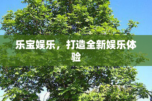 打造全新娱乐体验图片