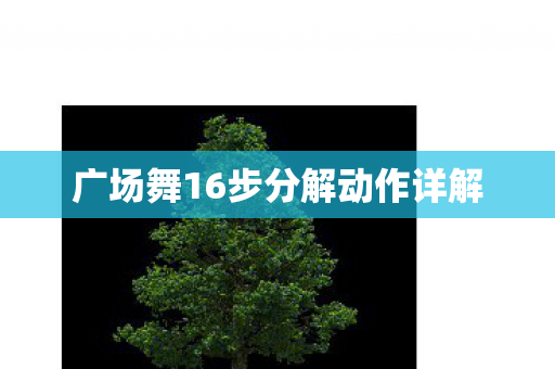 广场舞16步分解动作详解图片
