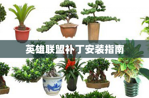 英雄联盟补丁安装指南图片