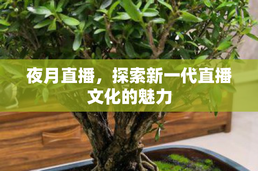 探索新一代直播文化的魅力图片