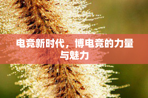 博电竞的力量与魅力图片