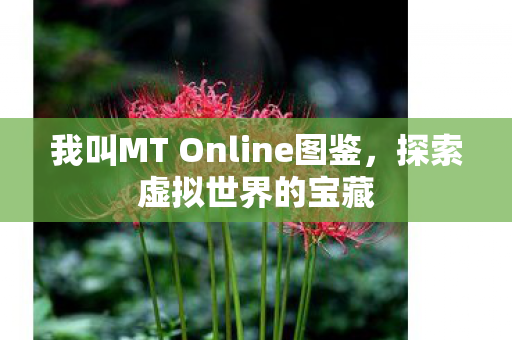 我叫MT Online图鉴图片