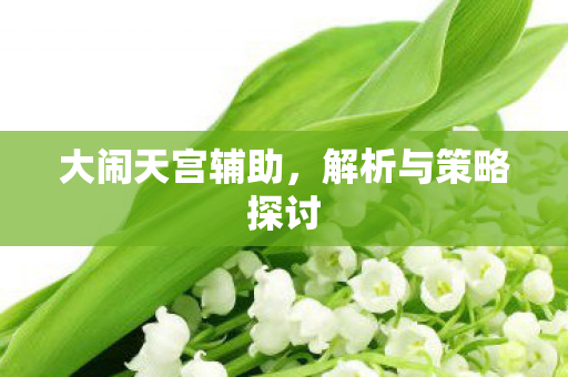 解析与策略探讨图片