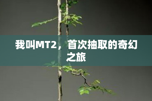 首次抽取的奇幻之旅图片
