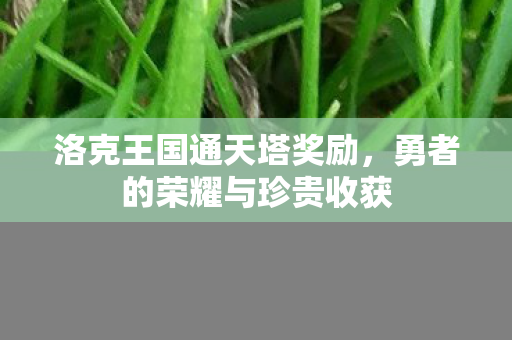 勇者的荣耀与珍贵收获图片
