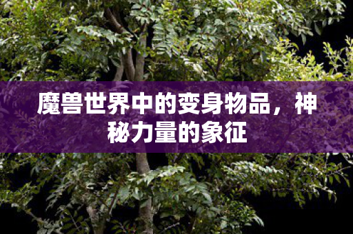 魔兽世界中的变身物品图片
