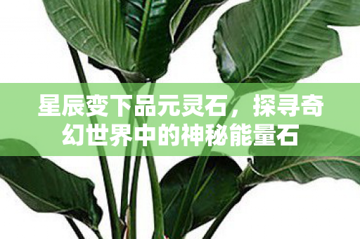 探寻奇幻世界中的神秘能量石图片