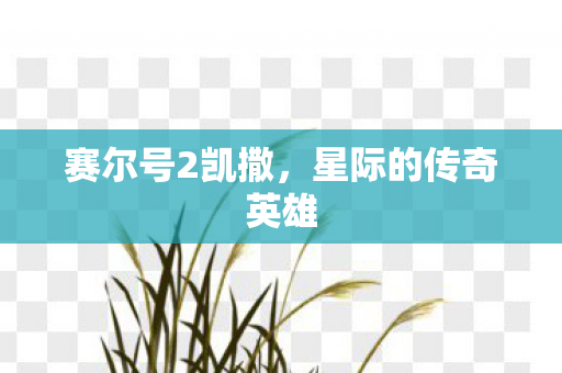 星际的传奇英雄图片