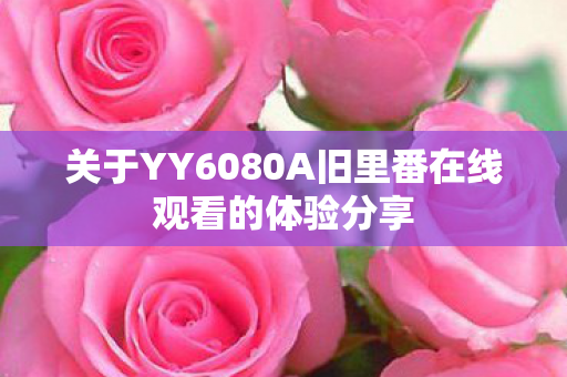 关于YY6080A旧里番在线观看的体验分享图片