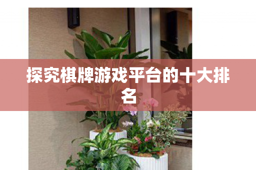 探究棋牌游戏平台的十大排名图片