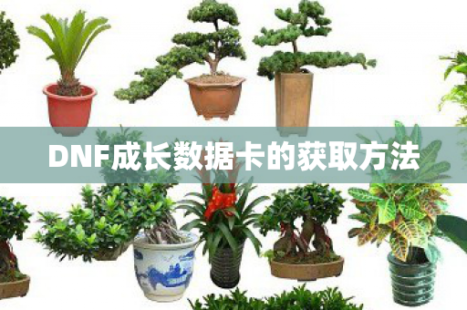 DNF成长数据卡的获取方法图片