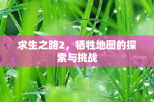 牺牲地图的探索与挑战图片
