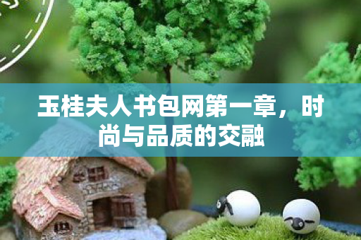 玉桂夫人书包网第一章图片