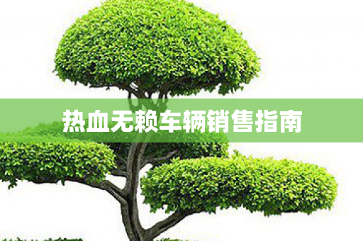 热血无赖车辆销售指南图片
