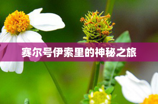 赛尔号伊索里的神秘之旅图片