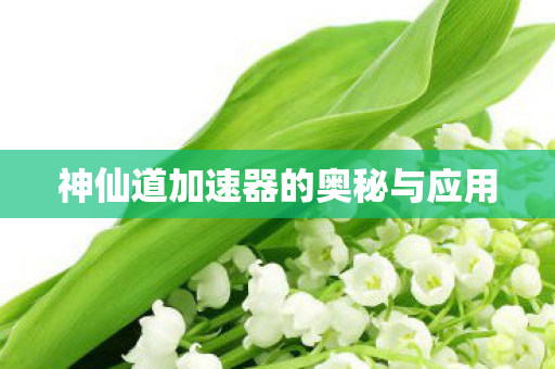 神仙道加速器的奥秘与应用图片