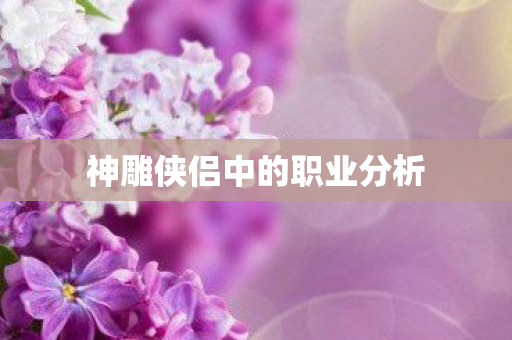 神雕侠侣中的职业分析图片