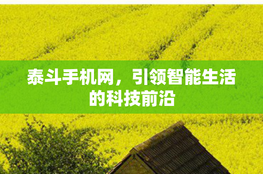 引领智能生活的科技前沿图片