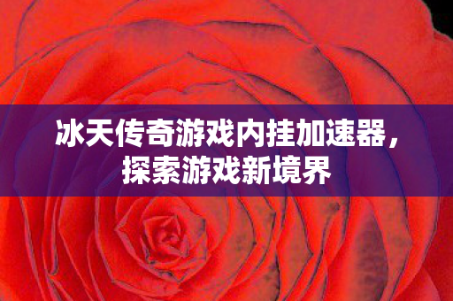 冰天传奇游戏内挂加速器图片