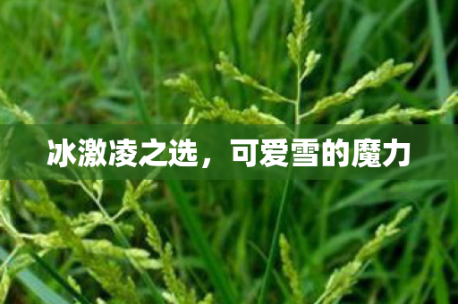 可爱雪的魔力图片
