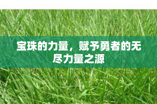 赋予勇者的无尽力量之源图片