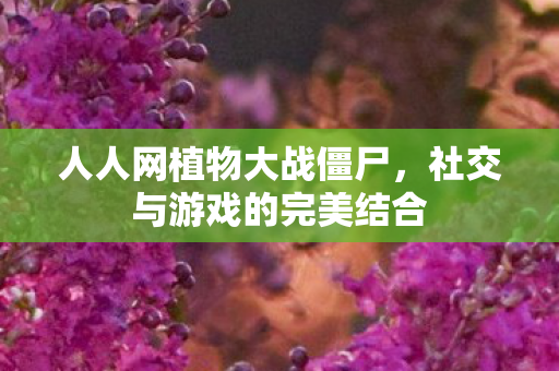 社交与游戏的完美结合图片