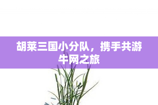 携手共游牛网之旅图片