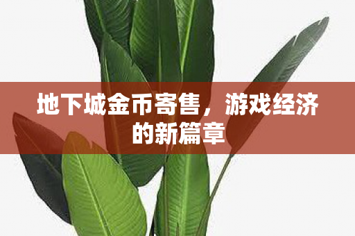 游戏经济的新篇章图片