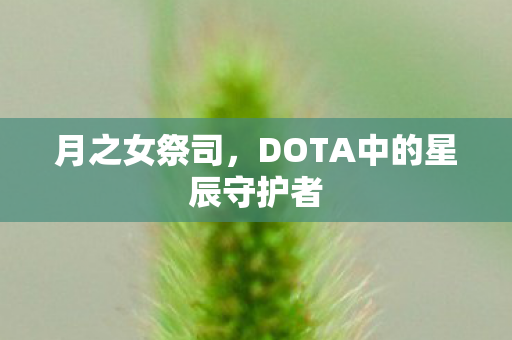 DOTA中的星辰守护者图片