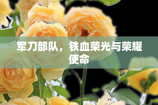 铁血荣光与荣耀使命图片