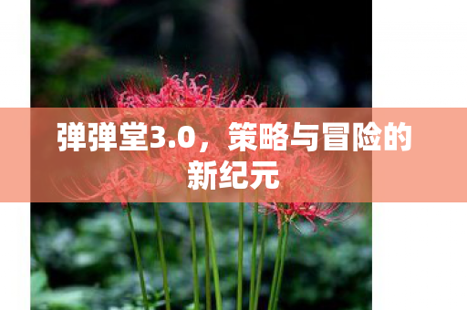 策略与冒险的新纪元图片