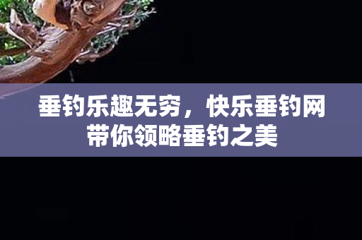 快乐垂钓网带你领略垂钓之美图片