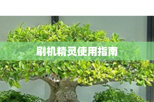 刷机精灵使用指南图片