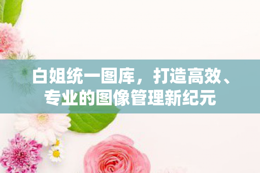 专业的图像管理新纪元图片