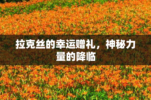 拉克丝的幸运赠礼图片