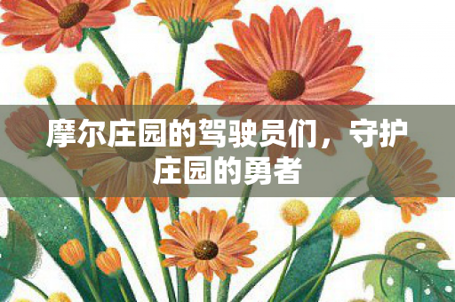 摩尔庄园的驾驶员们图片