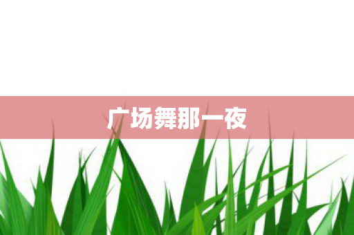 广场舞那一夜图片