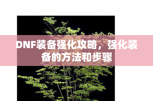强化装备的方法和步骤图片