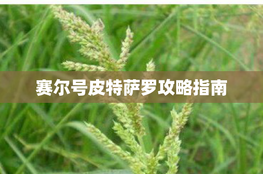 赛尔号皮特萨罗攻略指南图片