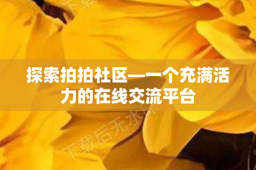 一个充满活力的在线交流平台图片