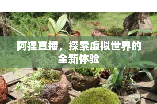 探索虚拟世界的全新体验图片