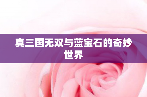 真三国无双与蓝宝石的奇妙世界图片
