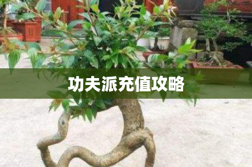 功夫派充值攻略图片
