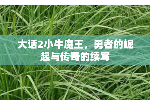 勇者的崛起与传奇的续写图片