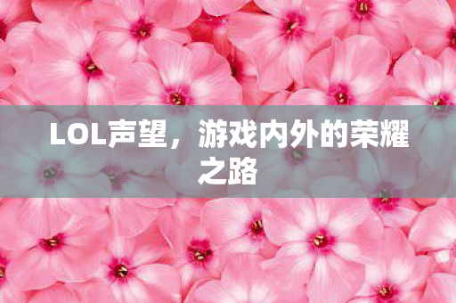 游戏内外的荣耀之路图片