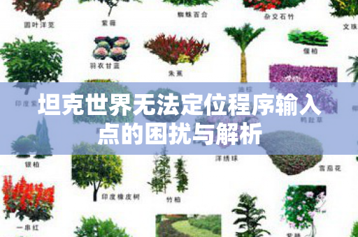 坦克世界无法定位程序输入点的困扰与解析图片