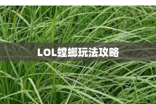 LOL螳螂玩法攻略图片