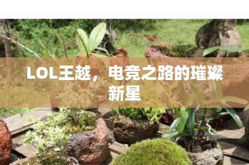 电竞之路的璀璨新星图片