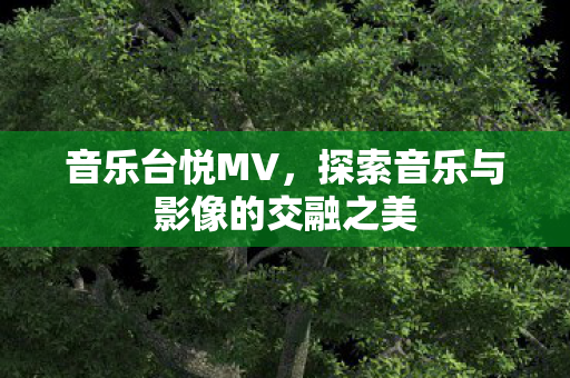 探索音乐与影像的交融之美图片