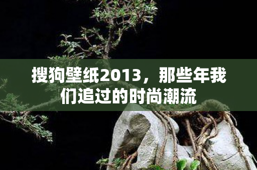 那些年我们追过的时尚潮流图片
